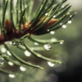 Heatherman Patricia L - Solicitors & Lawyers in Bend