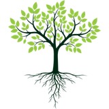 Artisan Landscapes, Inc. - Landscape Architects in Jacksonville