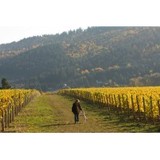 Cara Anam Cellars - Other in Sherwood