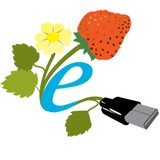Everbearing Services - Web Design & Development in Portland