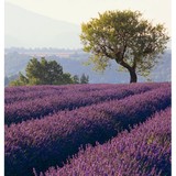 Garden Partners - Business Consulting in Portland