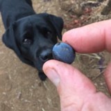 Winemaking Company Division - Wineries in Portland