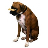 Fuana Urban - Pet Stores in Portland