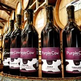 Purple Cow Vineyards - Other in Newberg