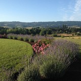 Le Puy A Wine Valley Inn - Other in Newberg