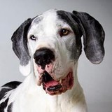 Loomis Ruth DVM - Veterinarians/Vets in Bend