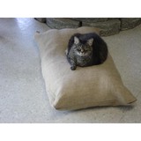 Exclusively Cats Veterinary - Veterinarians/Vets in Phoenix