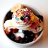 Yochoice Frozen Yogurt - Wholesale in Portland