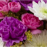 A Rose of Sharon - Florists in Portland