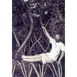 Arborsmith Studios - Other in Williams
