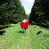 Energy Shifter - Other in Happy Valley