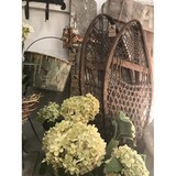 Back Yard Bistro - Restaurants in Springfield