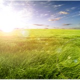 Emerald Valley Wellness Clinic - Other in Creswell