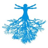 Transcend Body Work LLC - Massage Therapy in Portland