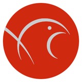 SkyHawk Studios - Graphic Design in Portland