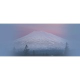Tretheway David M MD - Doctors in Redmond