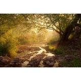 Grants Pass Medical Center LLC - Other in Grants Pass
