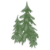 Sierra Northwest Landscpg CO - Landscape Architects in Portland