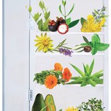 Healing Tree Health Technology, Inc. - Other in Carlton