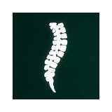 Samantha Stuart Pc - Chiropractors in Portland