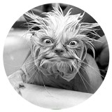 Grumpy's Drains - Plumbing in Portland