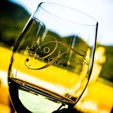 Folin Cellars - Other in Gold Hill