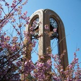 County Sheriff - Other in Pendleton