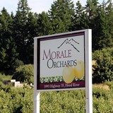 Morale Orchards - Other in Hood River