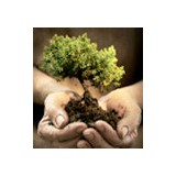 Weiner Adam M - Solicitors & Lawyers in Portland