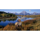Bend Chiropractor - Chiropractors in Bend