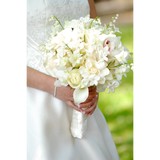 Crystal Lilies - Florists in Portland