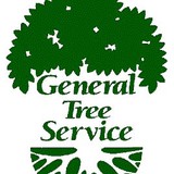 General Tree Service - Landscape Architects in Beaverton