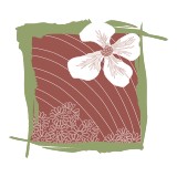 Shasta Acupuncture & Wellness Clinic - Other in Klamath Falls