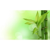 Daniel S Health Foods LLC - Other in Hood River