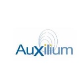 Auxilium - Business Consulting in Portland