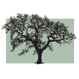 Stuart Kendall Attorney At Law - Other in Lake Oswego