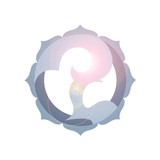 Pure Life Clinic - Chiropractors in Portland