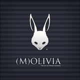 Molivia Design LLC - Other in Cornelius