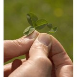 Earth Turf - Lawn Services in Portland