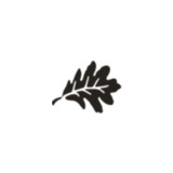 E. Bradley Litchfield, Attorney - Solicitors & Lawyers in Eugene