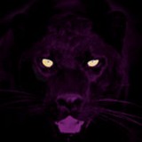 Nox Graphics - Graphic Design in Grants Pass