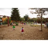 New Day School - Child Care & Day Care in Portland
