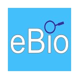 eBio Marketing - Marketing in Portland