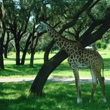 Fitway Lifestyle - Weight Loss Centers in Portland