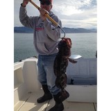 Rogue River Guide Service - Other in Gold Beach