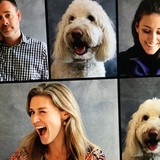Duffy Shanley Inc - Advertising in Providence