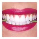 Levin Larry DDS - Dentists in Providence