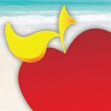The Vacation Center - Travel Agents in Coventry