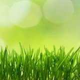 Rymer Gina M CPA - Landscape Architects in Portsmouth