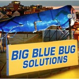 Big Blue Bug Solutions - Pest Control in Providence
